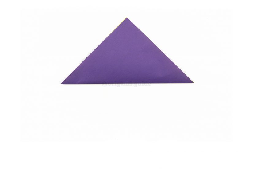 2. Take the bottom corner and fold it up to the top corner to create a central crease.