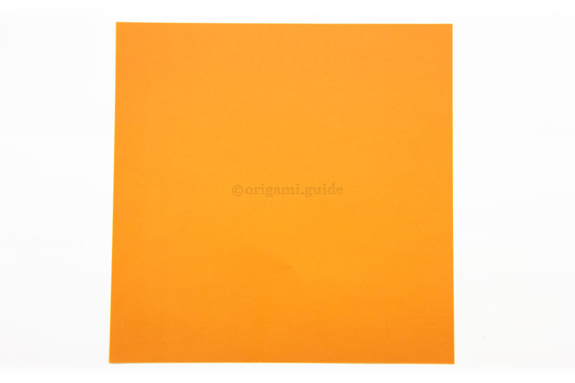 1. This is the back of the paper, usually white. Our star will only show this color on the layered back.