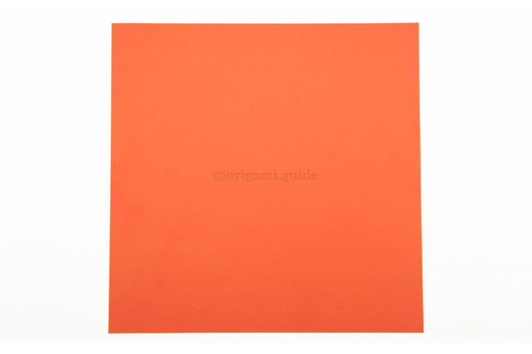 1. This is the back of the origami paper, usually white. This colour will be visible on the bottom of the lotus if you fold the last set of petals.