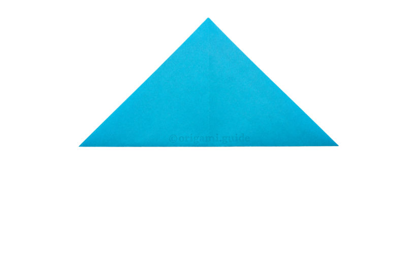 4. Fold the bottom point up to the top point.