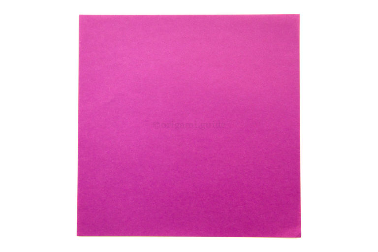 1. This is the front of the paper, our blintz base will be this colour.