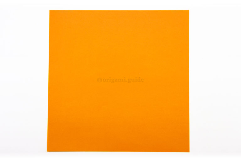 2. This is the back of the paper, our fox's ears will be this colour.