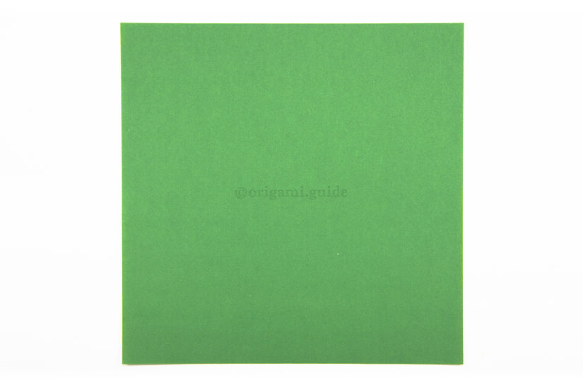 2. This is the back of the paper, this colour will not be visible on our final frog.