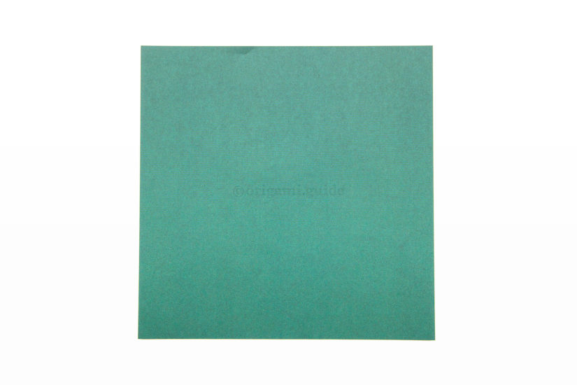 1. This is the back of the paper, usually white. This side will not be visible on the final box.