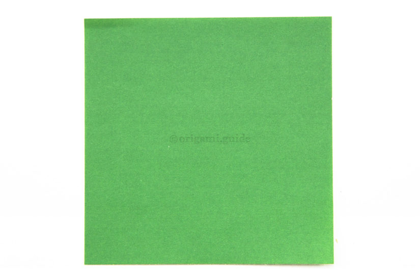 1. This is the back of the paper, usually white. You won't see this colour on the final model.