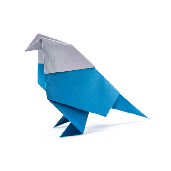 howto origami bird 00