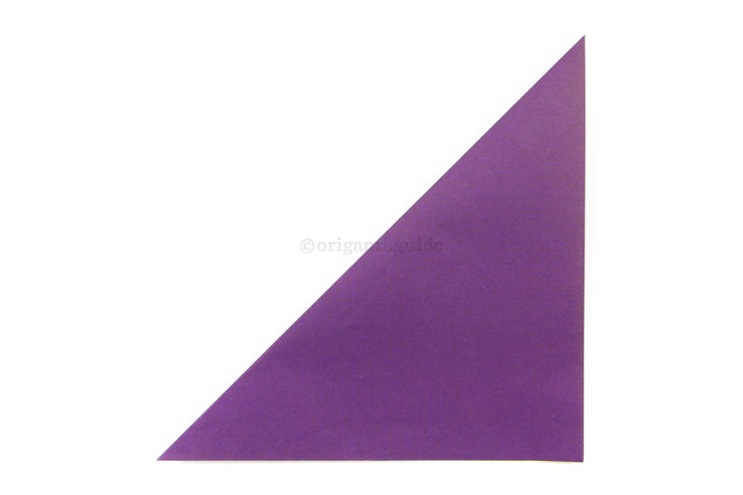 3. Fold the top left corner diagonally down to the bottom right corner.