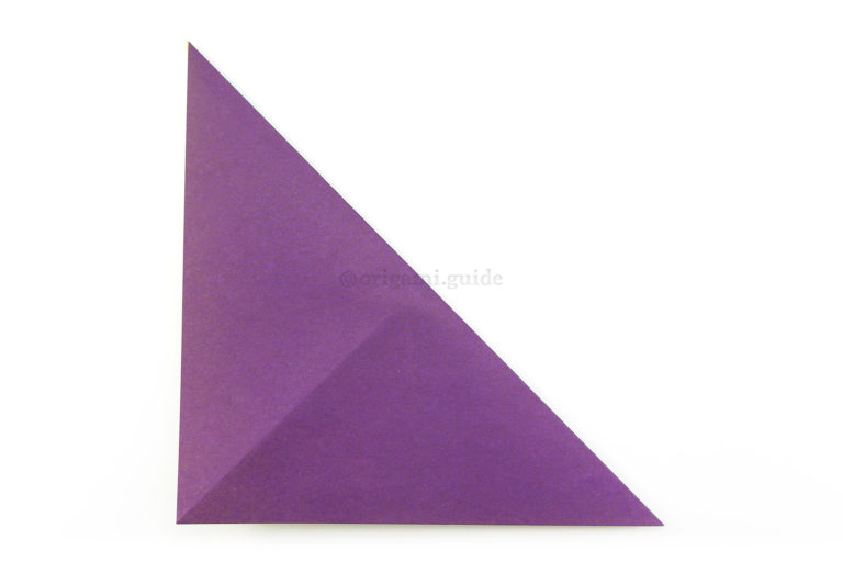 5. Fold the top right corner diagonally down to the bottom left corner.