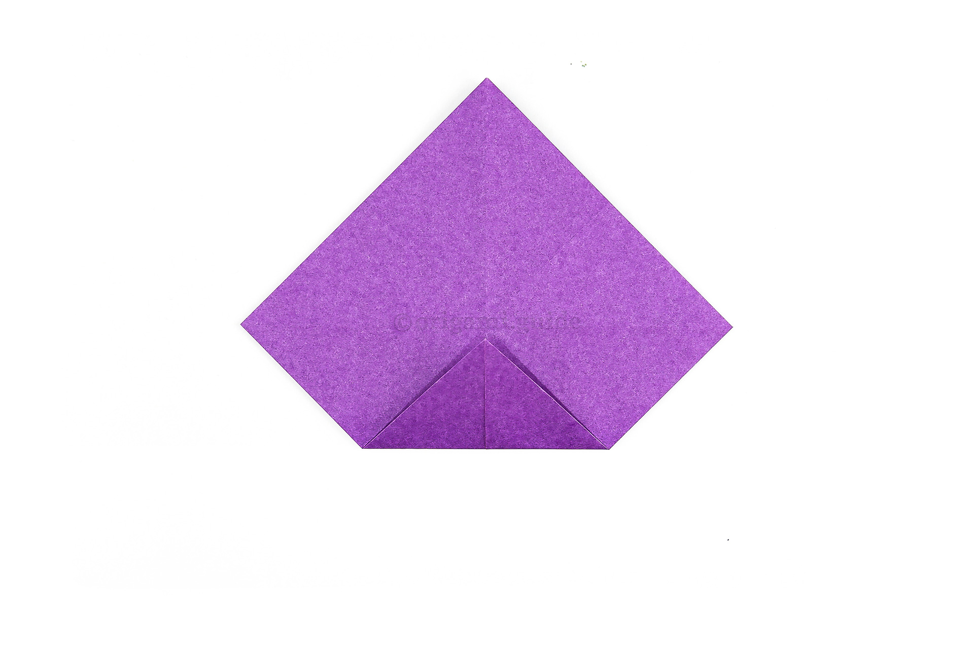 Fold the bottom corner to the middle point.