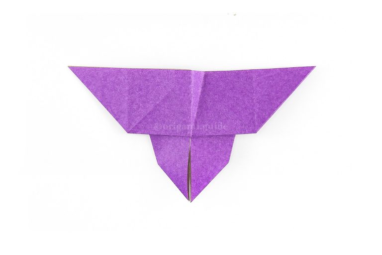 Unfold the previous 2 steps and flip the paper over to the front of the butterfly.