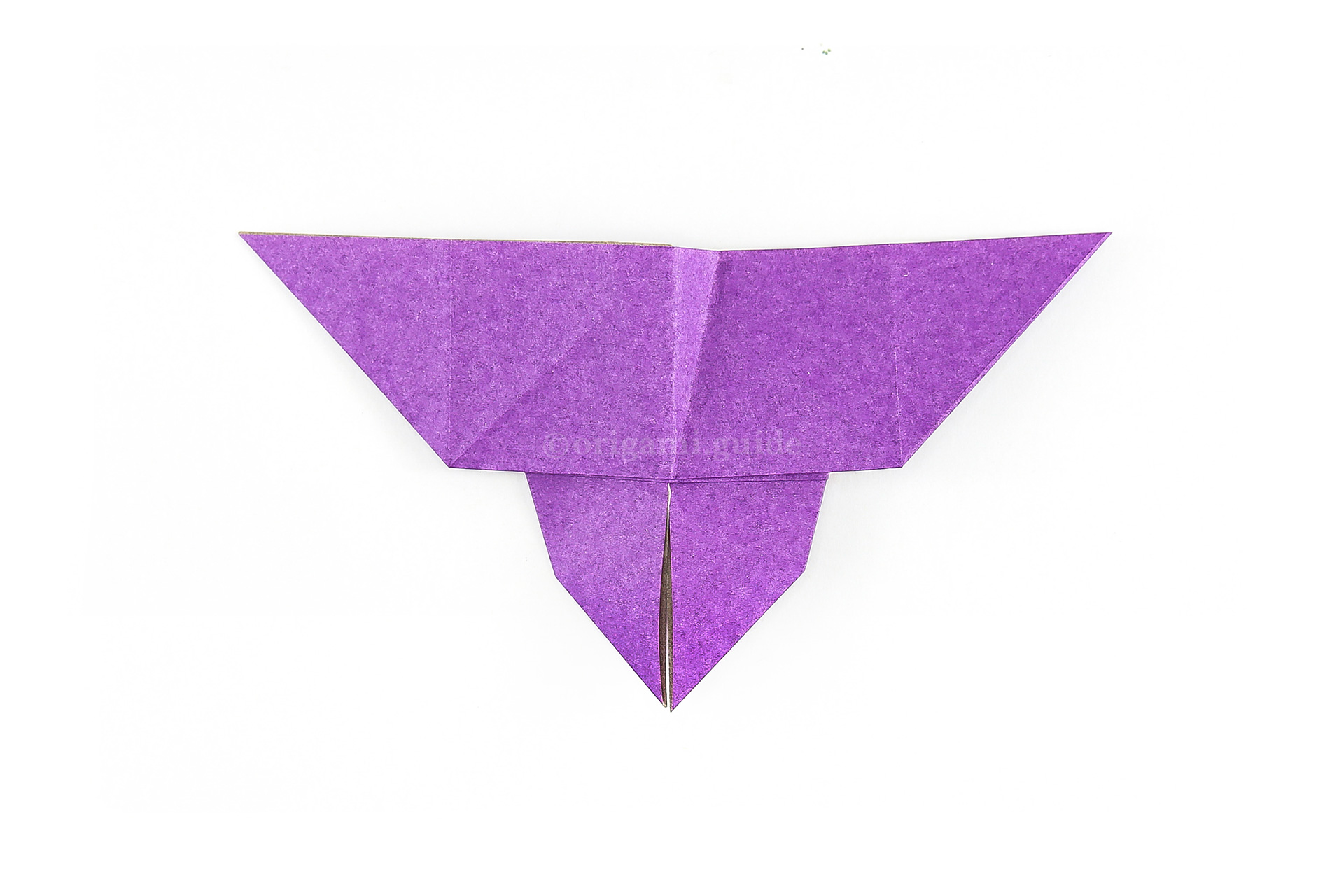 Unfold the previous 2 steps and flip the paper over to the front of the butterfly.