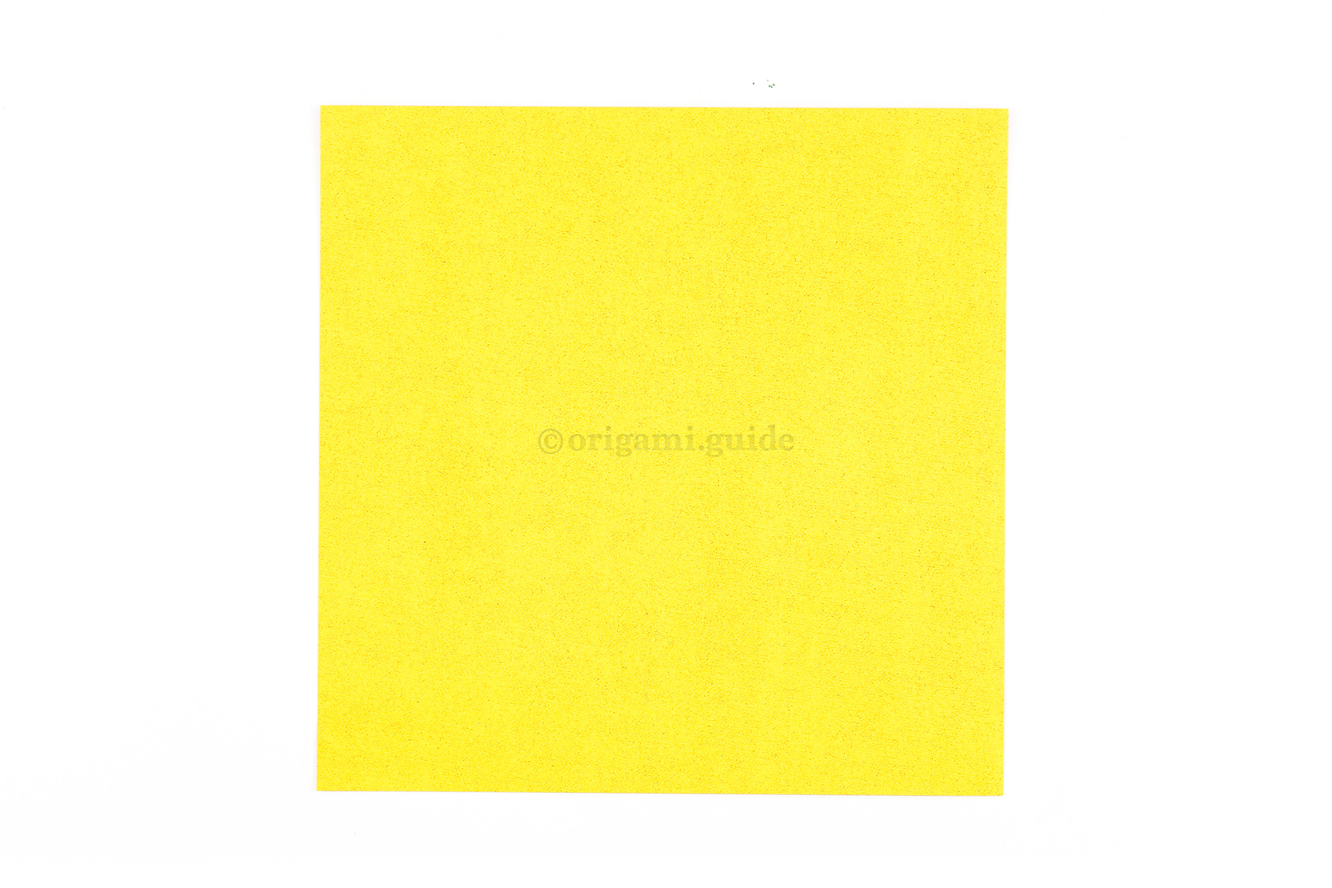 This is the front of our origami paper, our origami fish will end up being this colour.