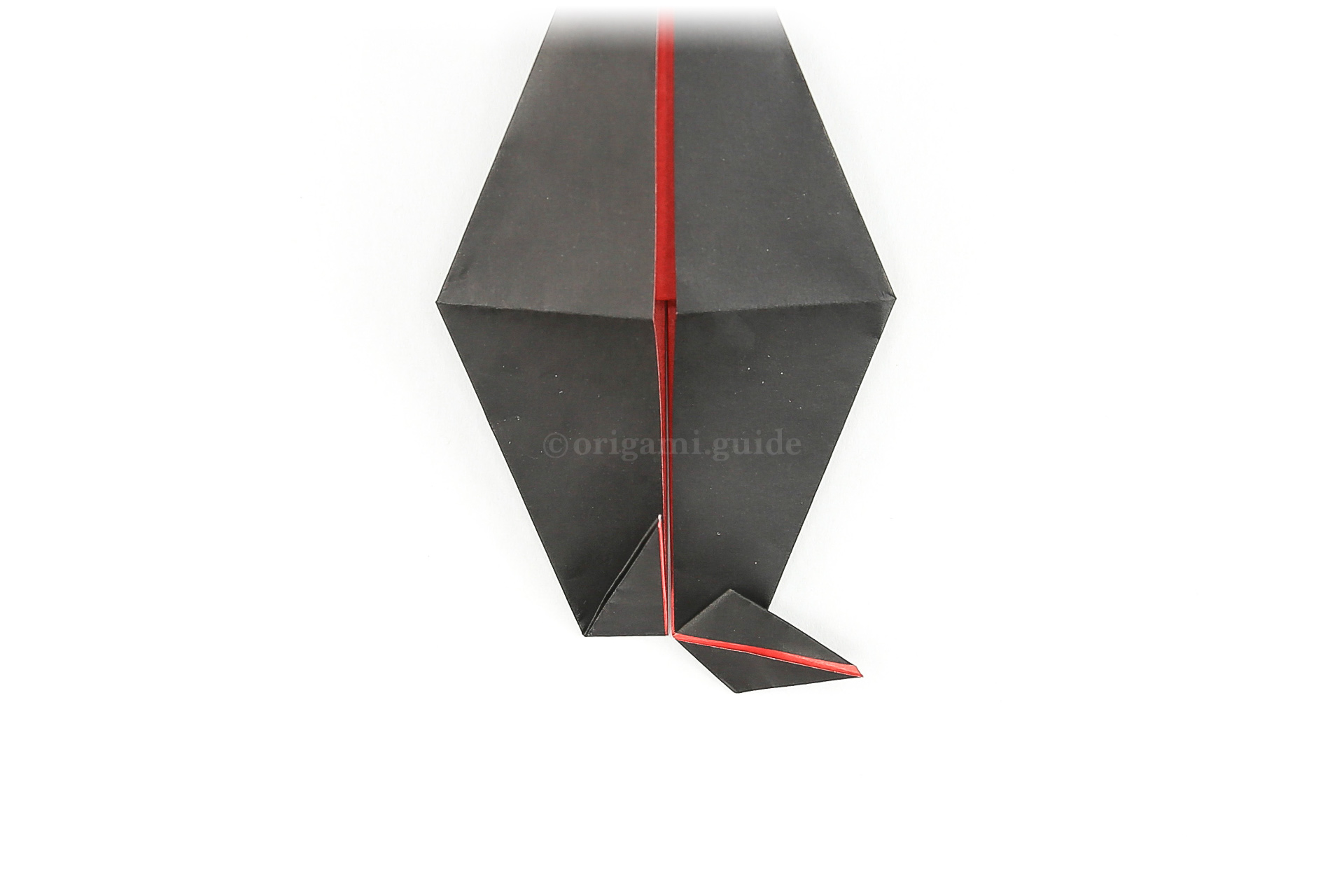 Open the flap and flatten it into a sideways kite shape as shown.