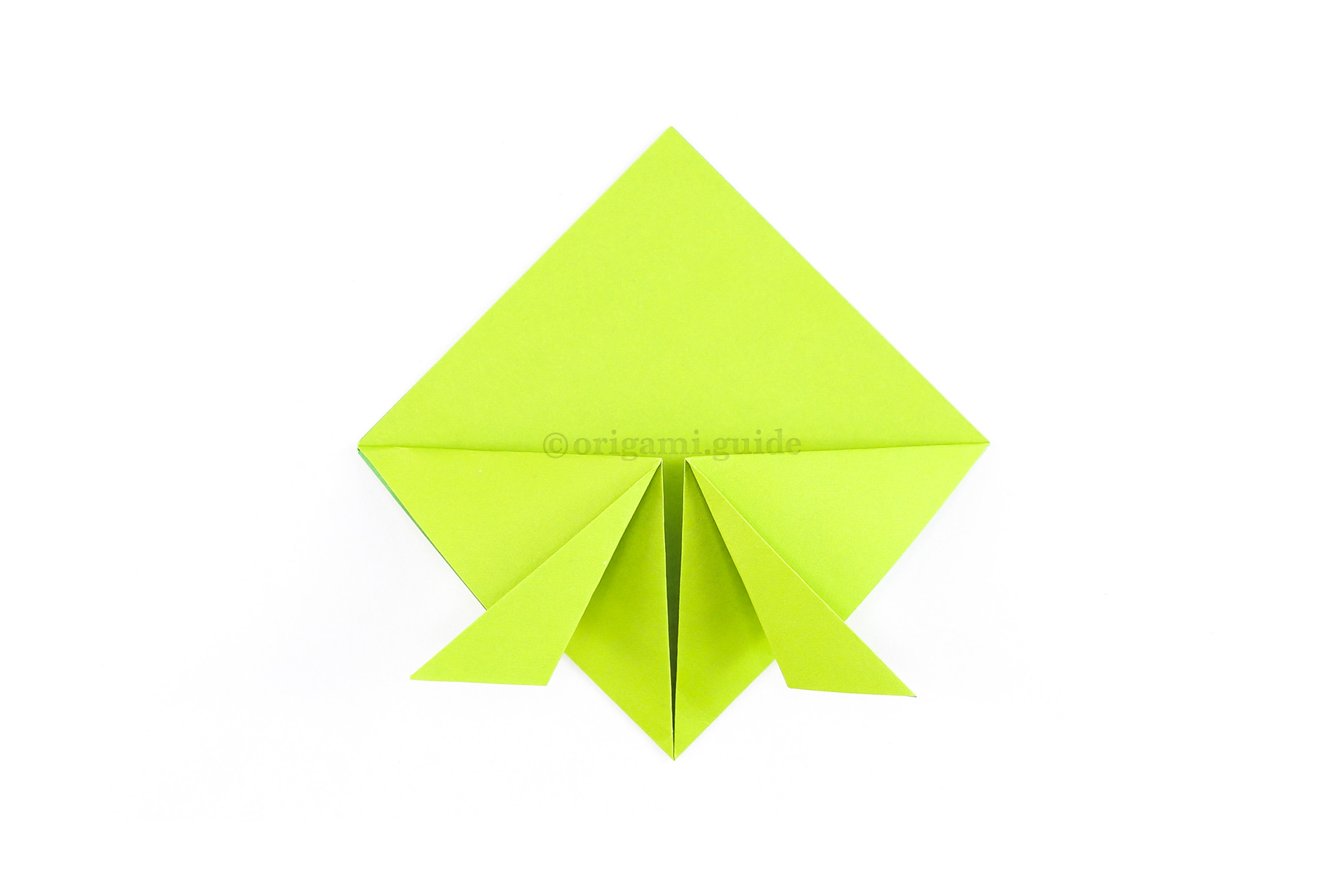 Fold both bottom points diagonally outwards as shown.