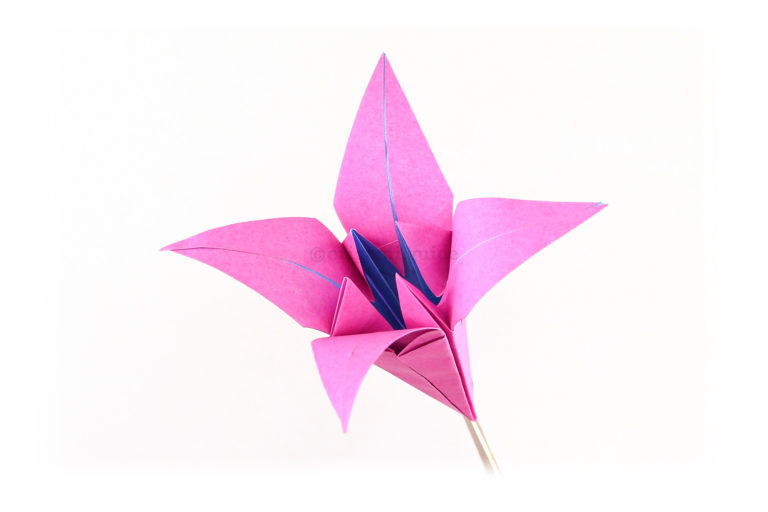 Your origami lily is complete!