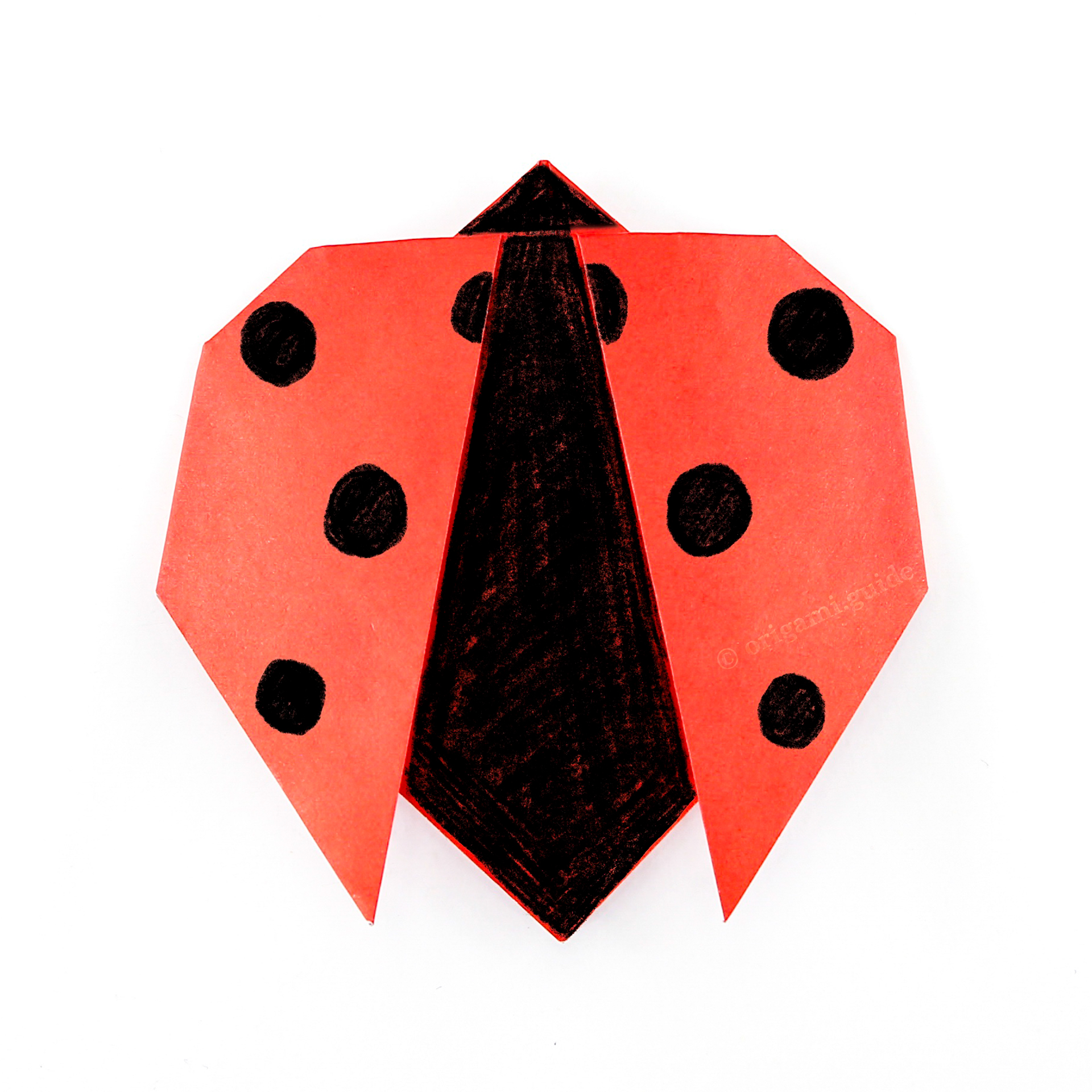 How To Fold An Origami Ladybug Folding Instructions Origami Guide