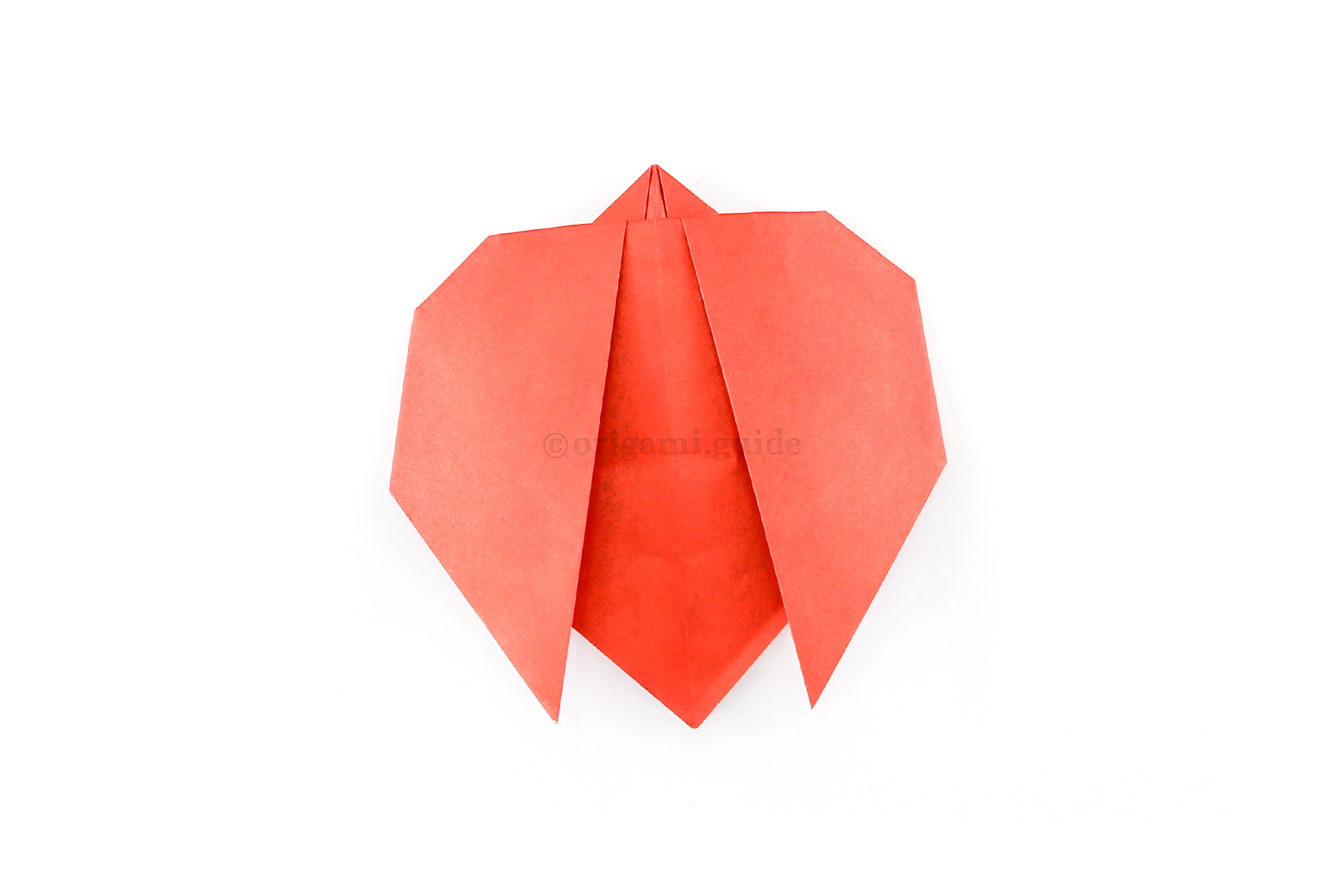 Fold the left and right points behind, making the ladybug a more rounded shape.