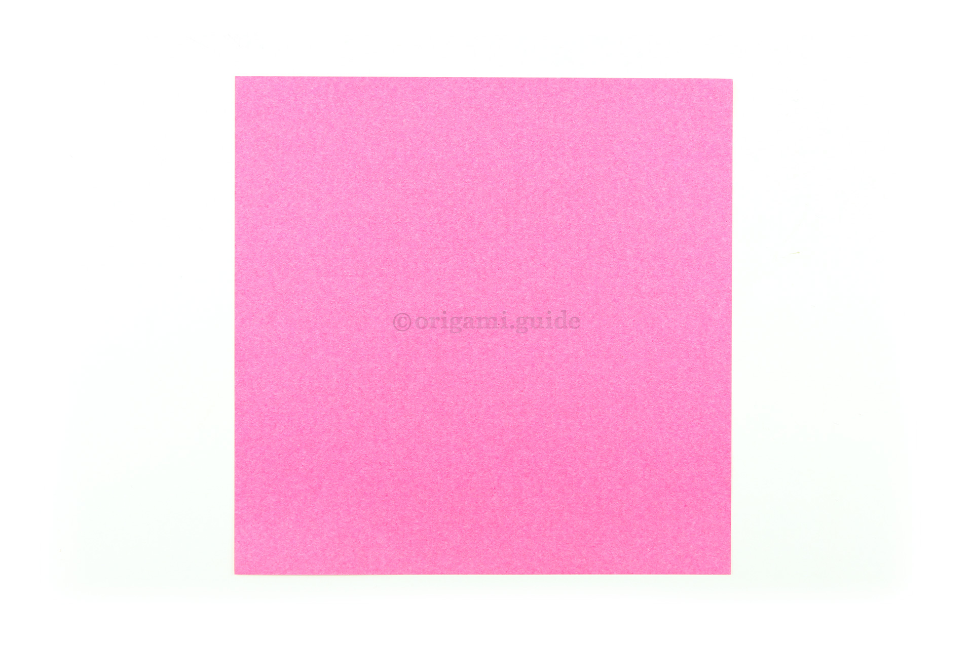 This is the front of our origami paper, the inside and top of the petals will end up this colour.