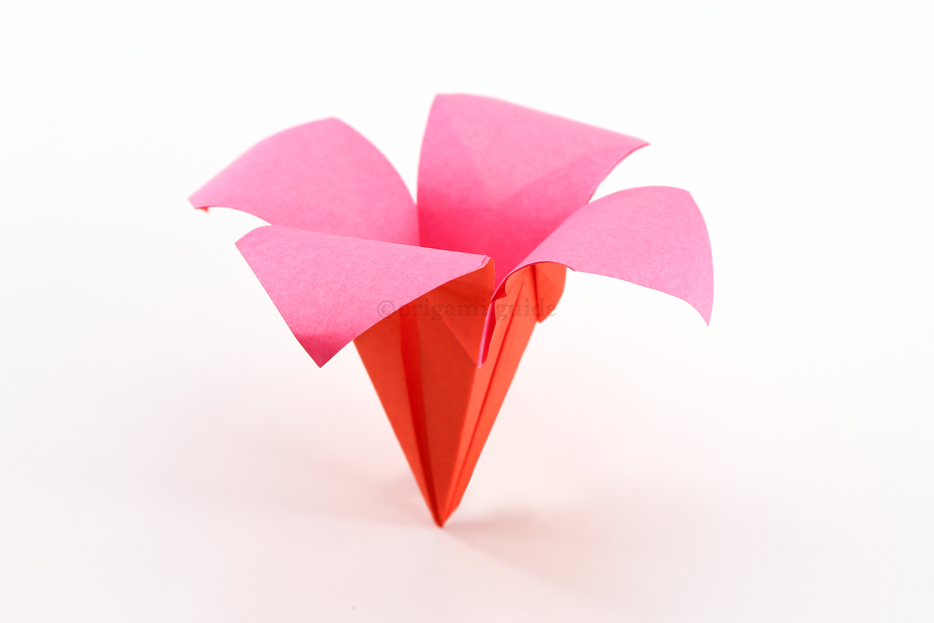 You can use a pen to curl the petals over, or you can make a bold looking flower by folding the petals back.