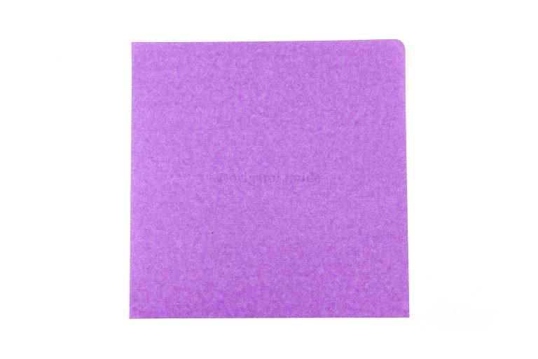 This is the back of our origami paper (usually white), our stem will end up this colour.