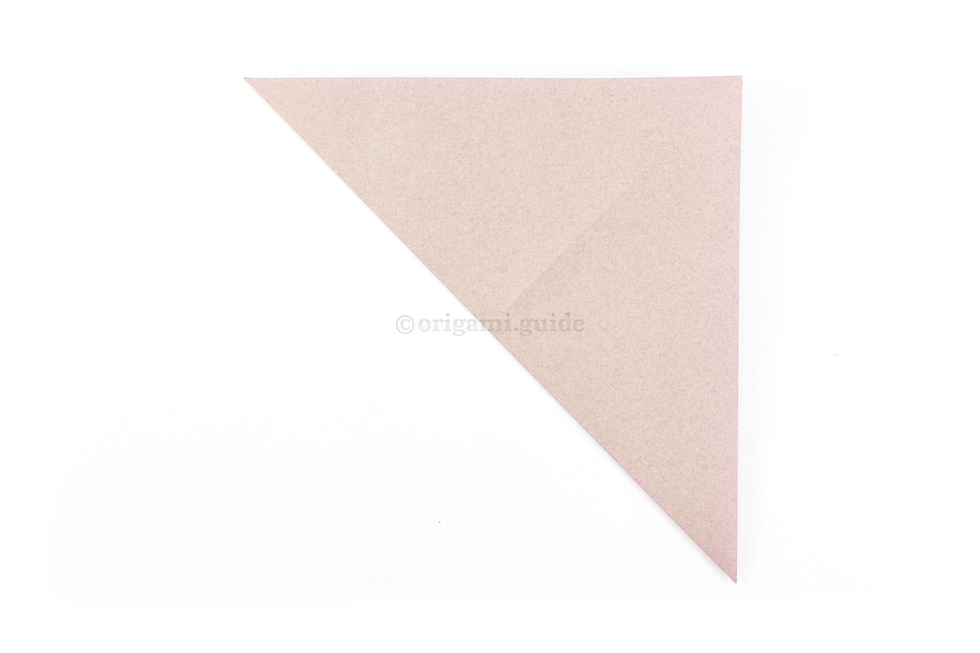 Fold the bottom left point of the paper diagonally up to the top right corner.