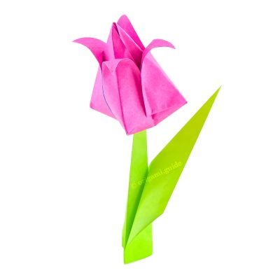 origami tulip flower tutorial 00