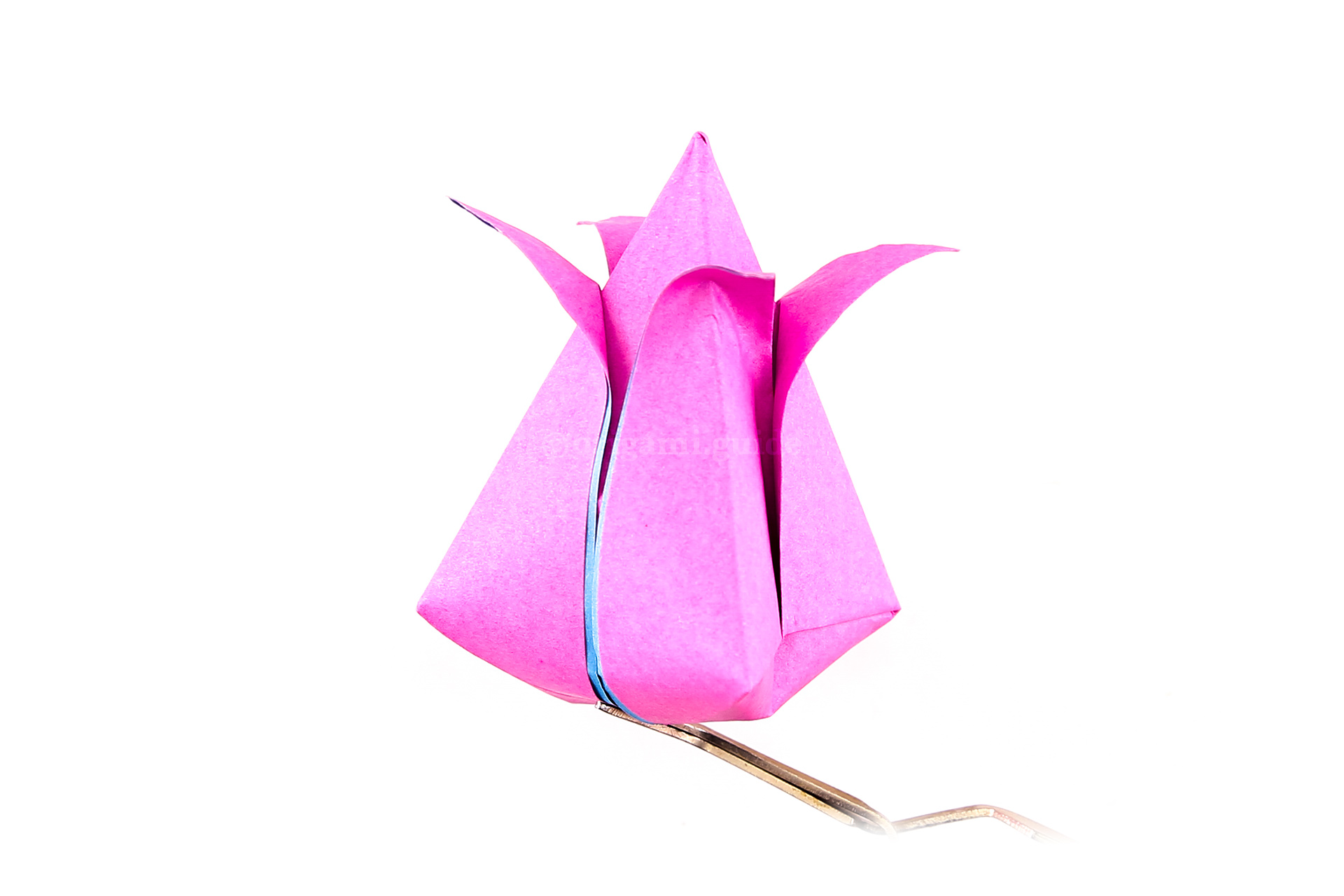 You can now peel the petals down from the top.