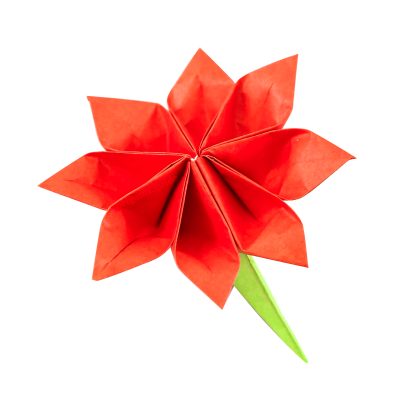 origami eight petal flower tutorial 00