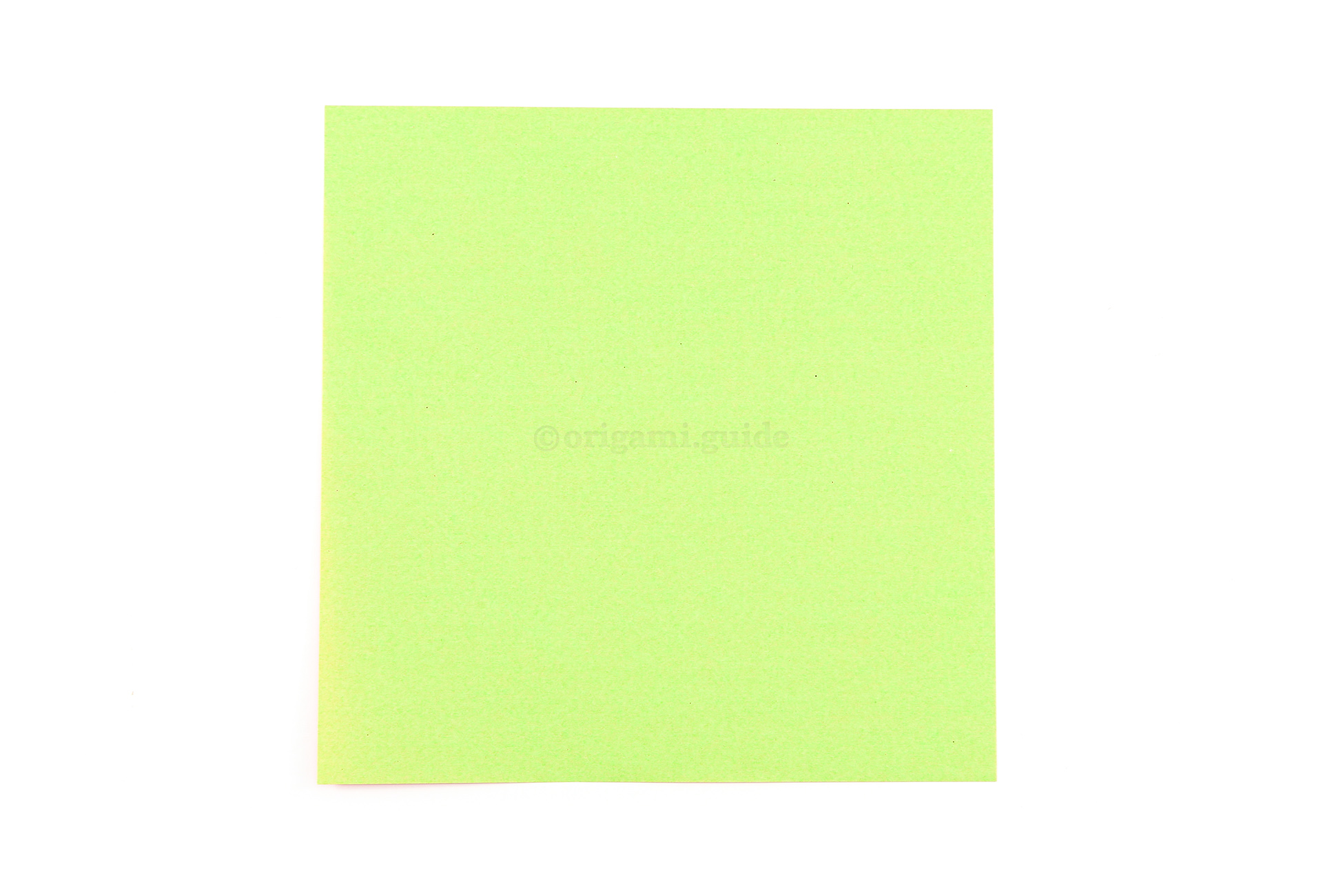 This is the back of our origami paper which is often white, you will not see this colour on your finished flower.
