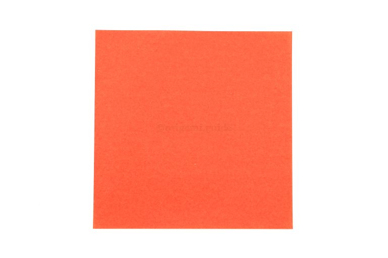 This is the front of our origami paper, your flower will end up this colour all over.