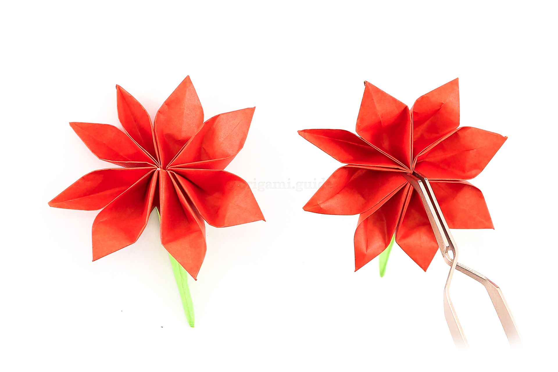 Once you are happy with the petals, you can carefully pinch the centre of the flower to finalise the folds, using some tweezers is recommended.