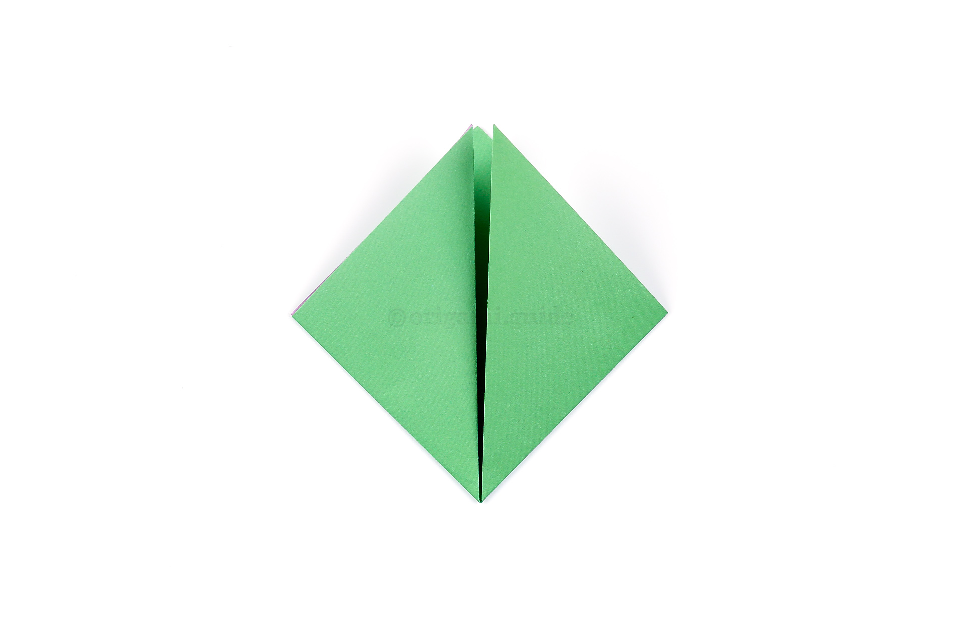 Fold the left point diagonally up to the top point as well.