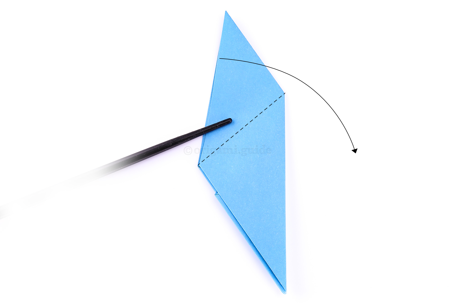 Last step! Fold the top of the wing diagonally down to the right.