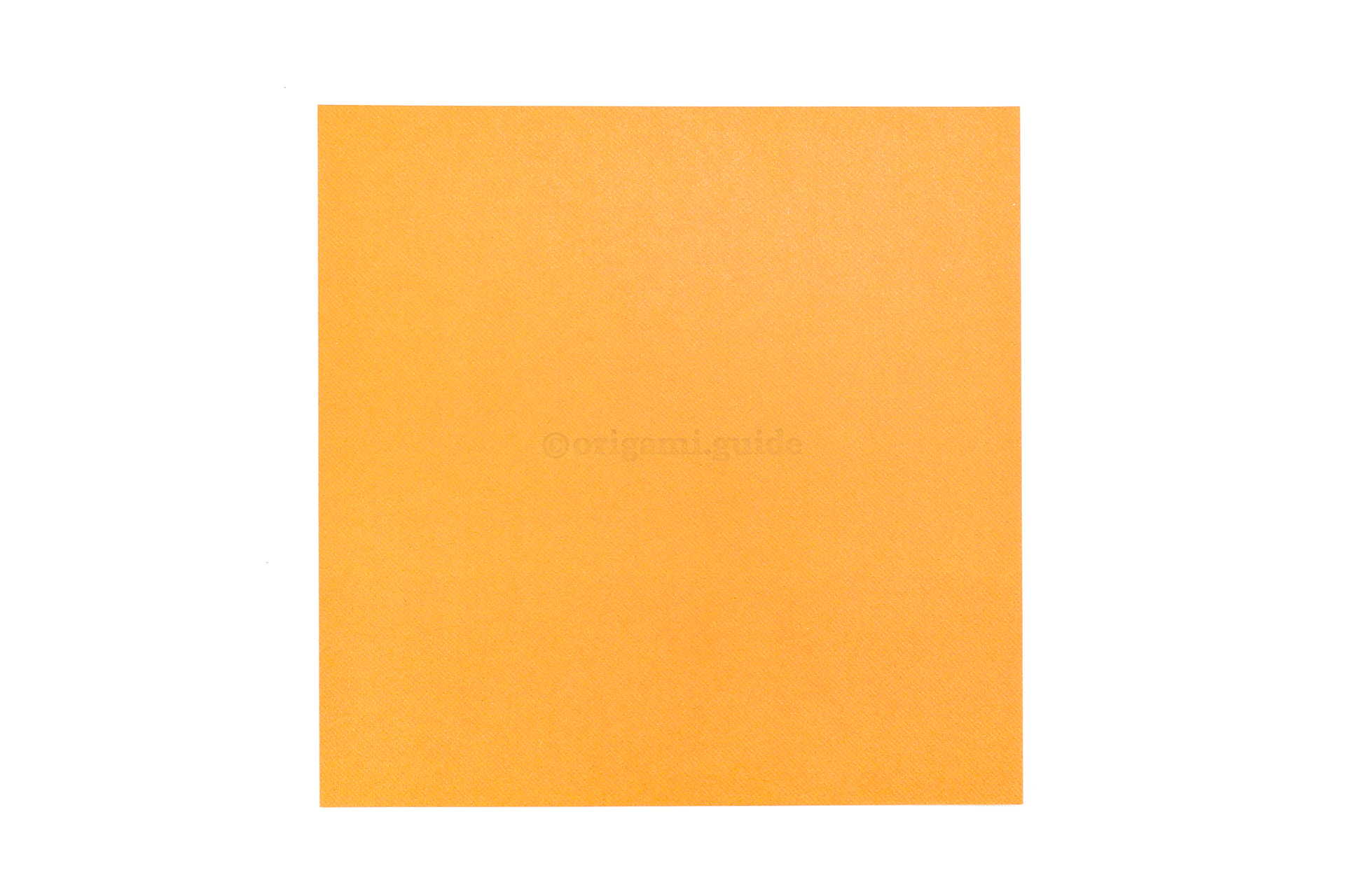 Start by checking which side of the paper you have for the origami pumpkin, this is the front of our paper.