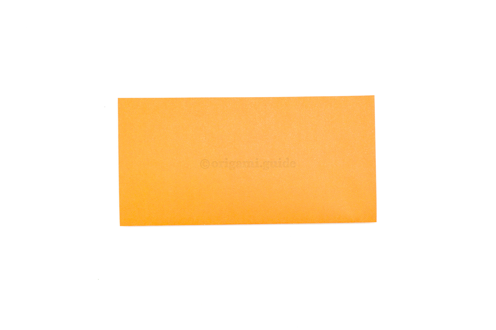 Fold the bottom edge up to the top edge.