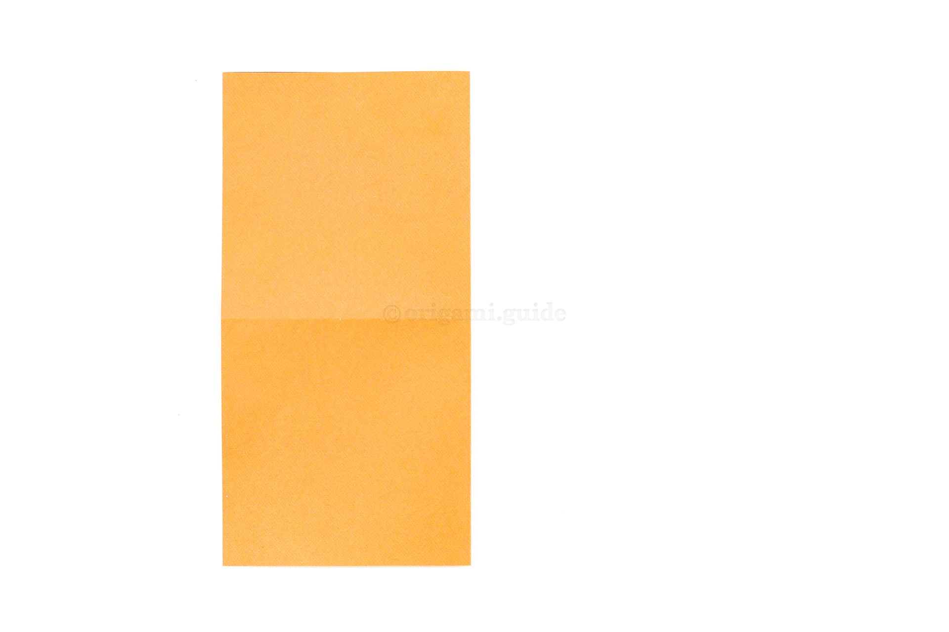 Fold the right edge over to the left edge.