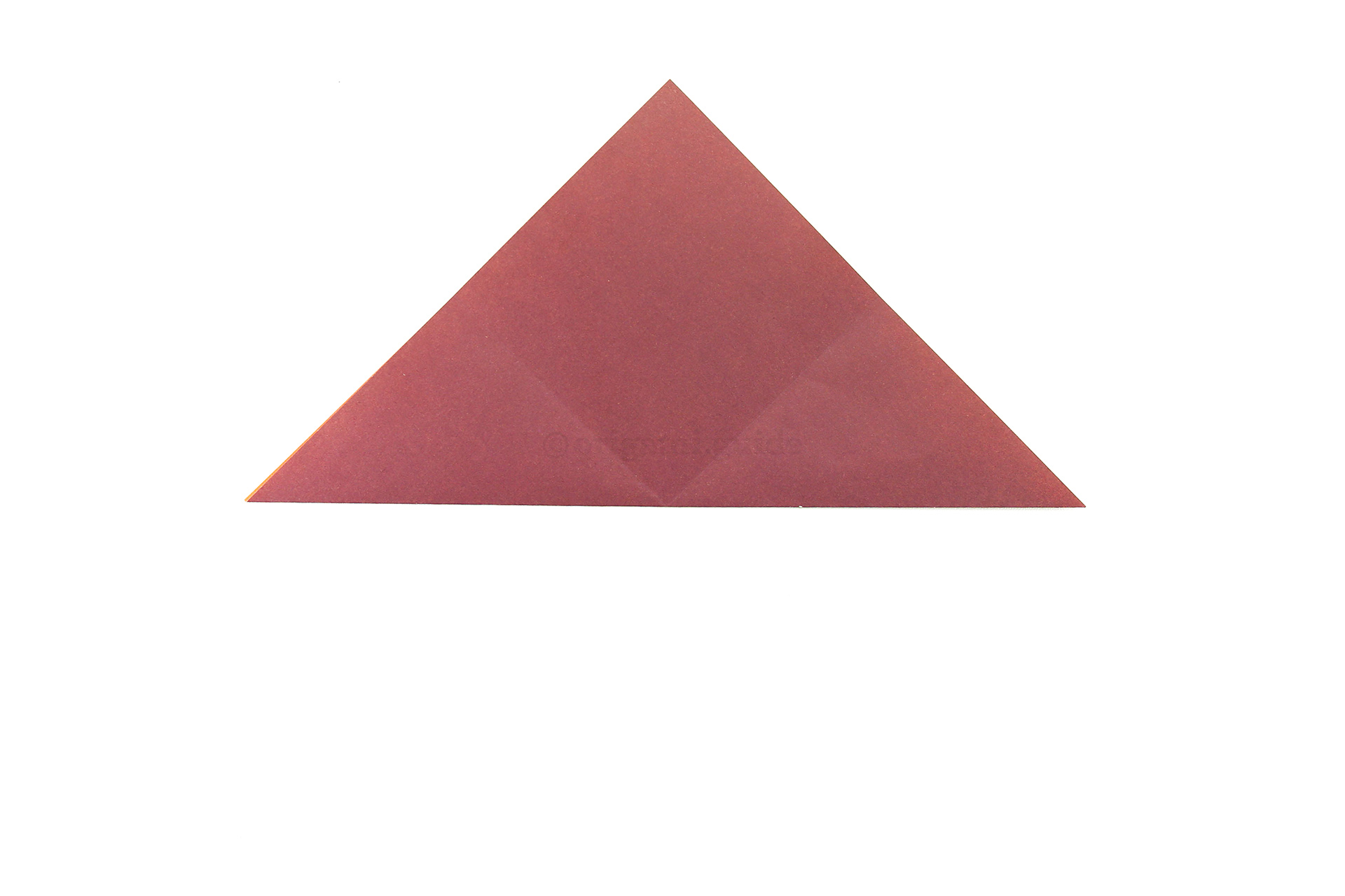 Fold the bottom point up to the top point.
