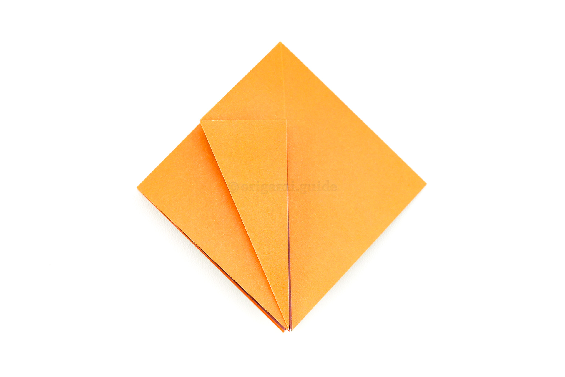 Fold the lower left edge of the front flap to align with the vertical central crease as shown.