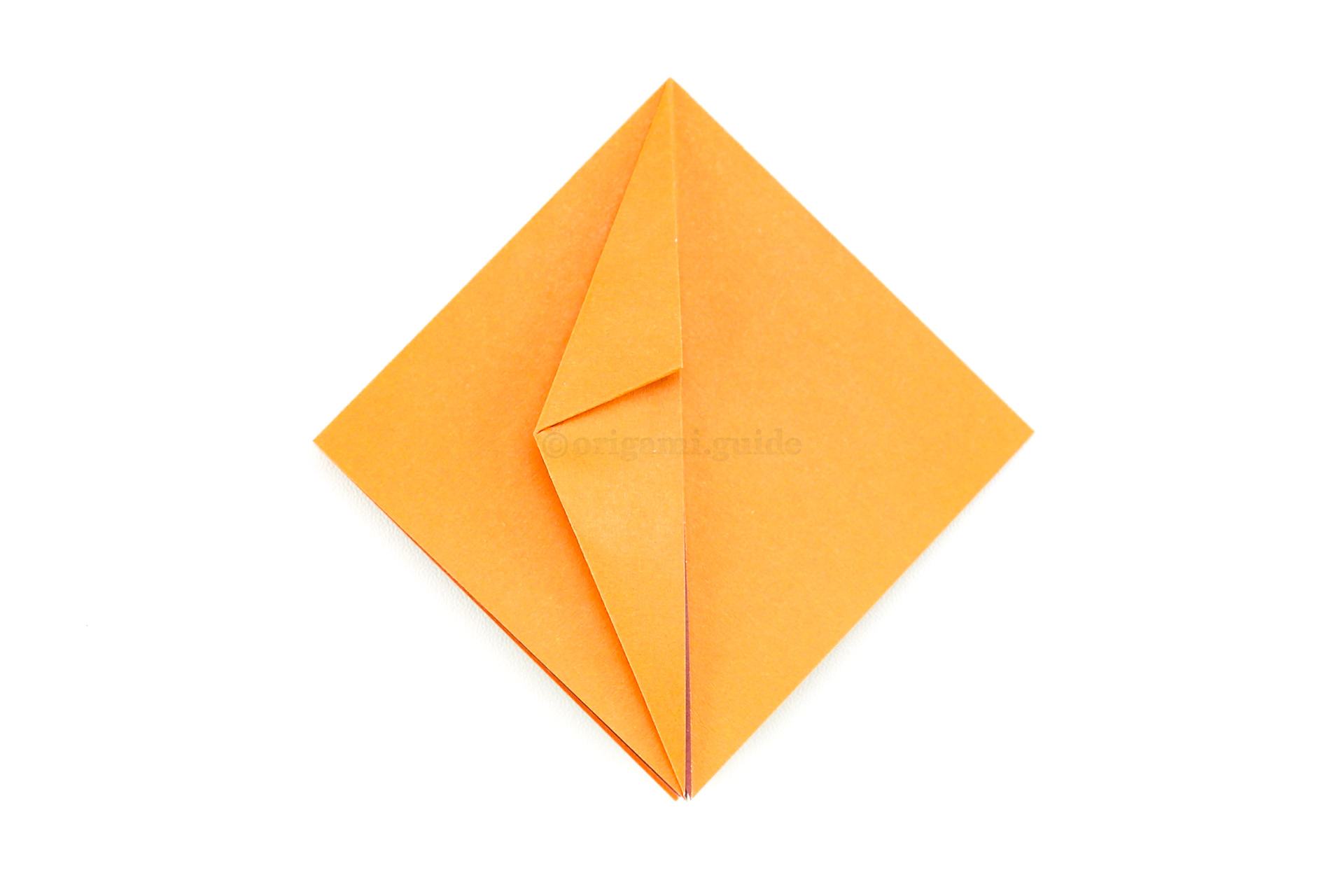 Fold the top left edge diagonally in to also align with the central vertical crease as shown.