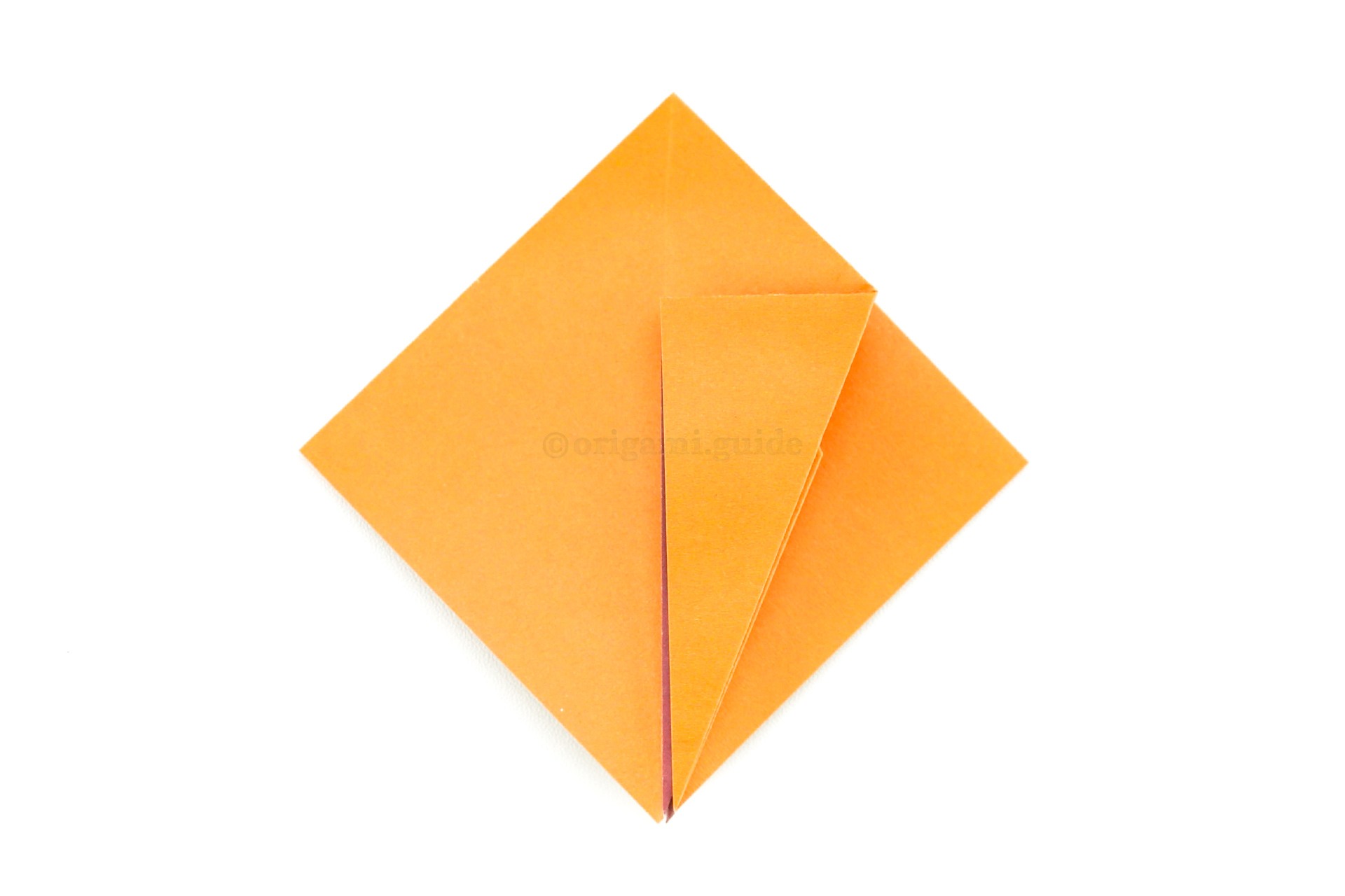 Repeat the same process on this flap. Fold the lower right edge diagonally in to meet the central vertical crease.