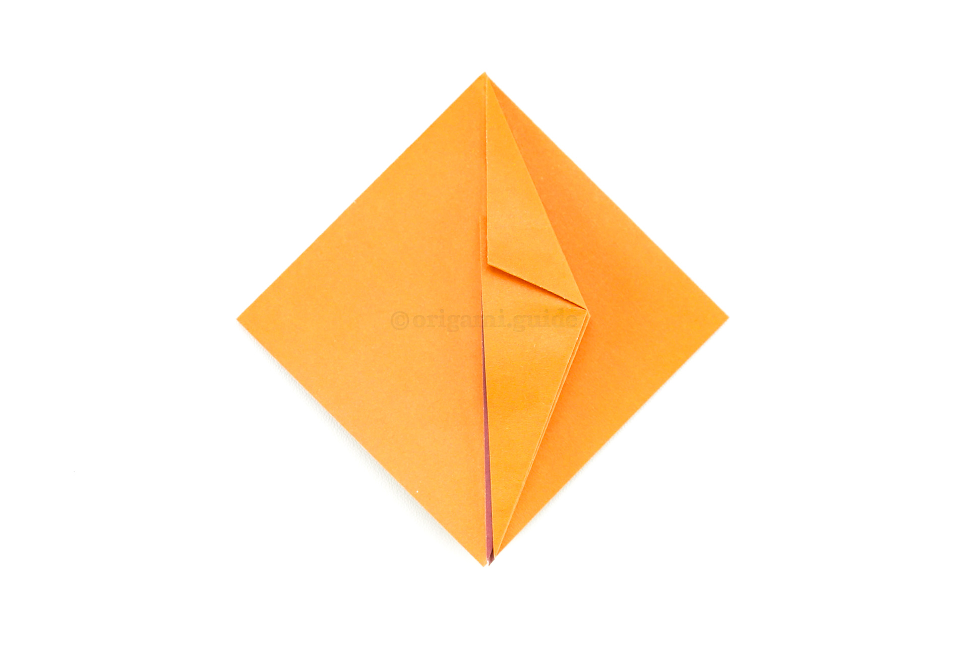 Fold the top right edge diagonally in to also align with the central vertical crease as shown.