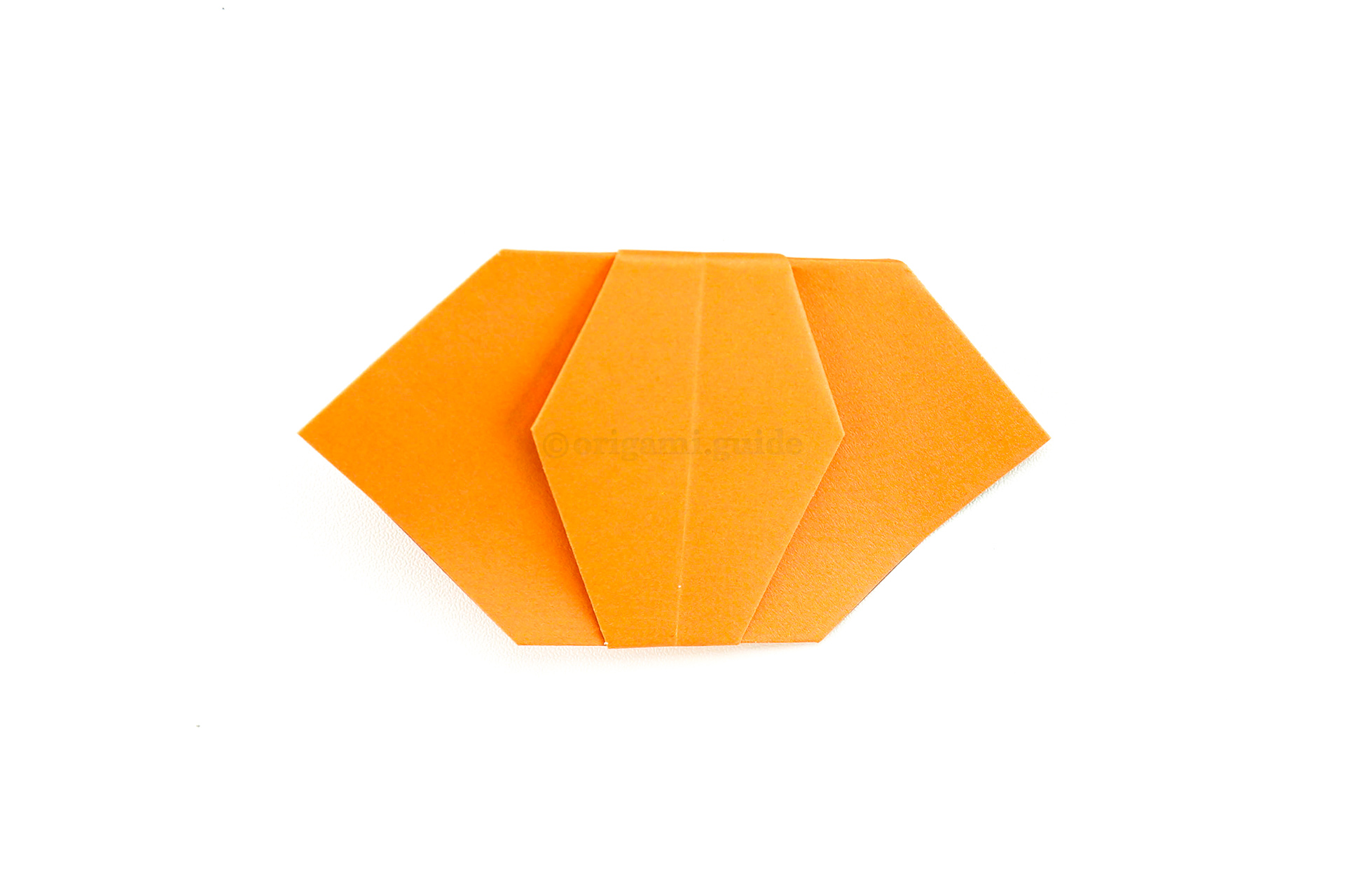 Fold the top point behind.