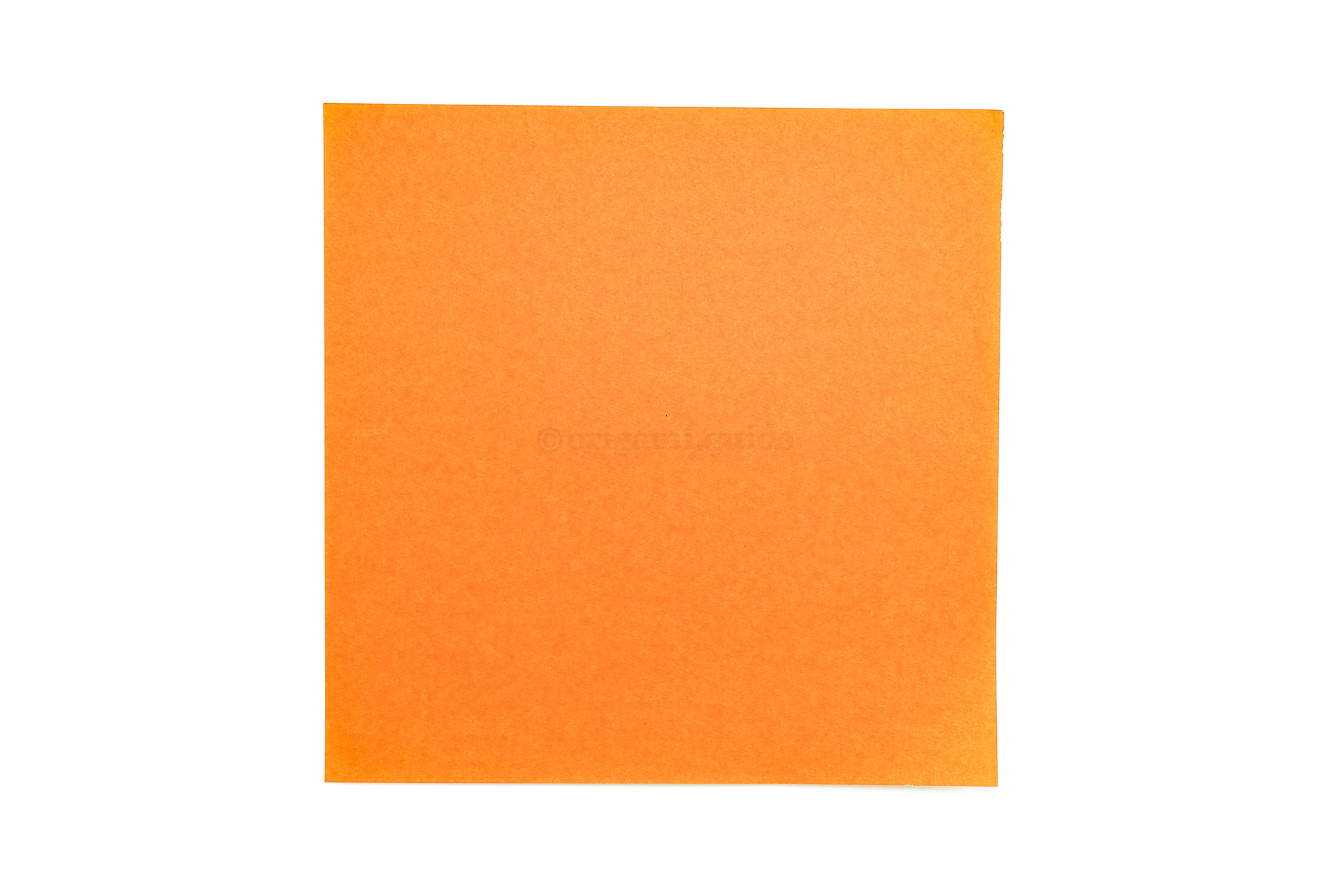 Step 2 - This is the front of our origami paper, and this will be on the outside of the pumpkin. Start this side up.