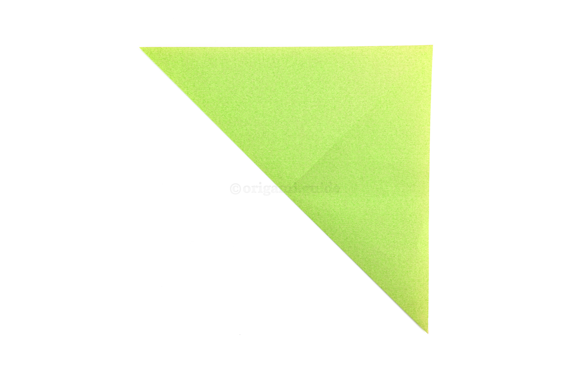 Step 5 - Next, fold the bottom left point diagonally up to the top right point.