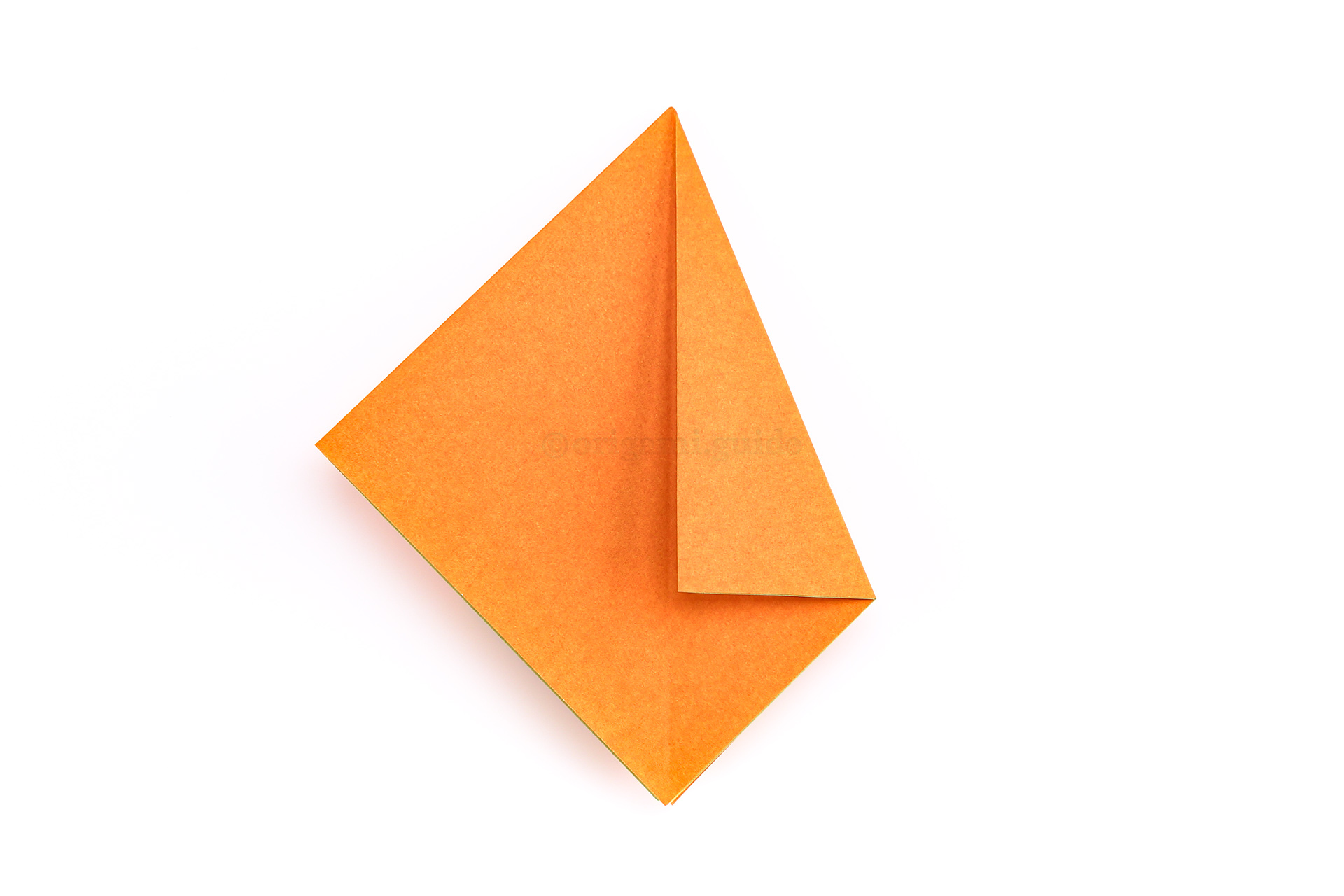 Step 18 - Fold the right diagonal edge to the central crease.