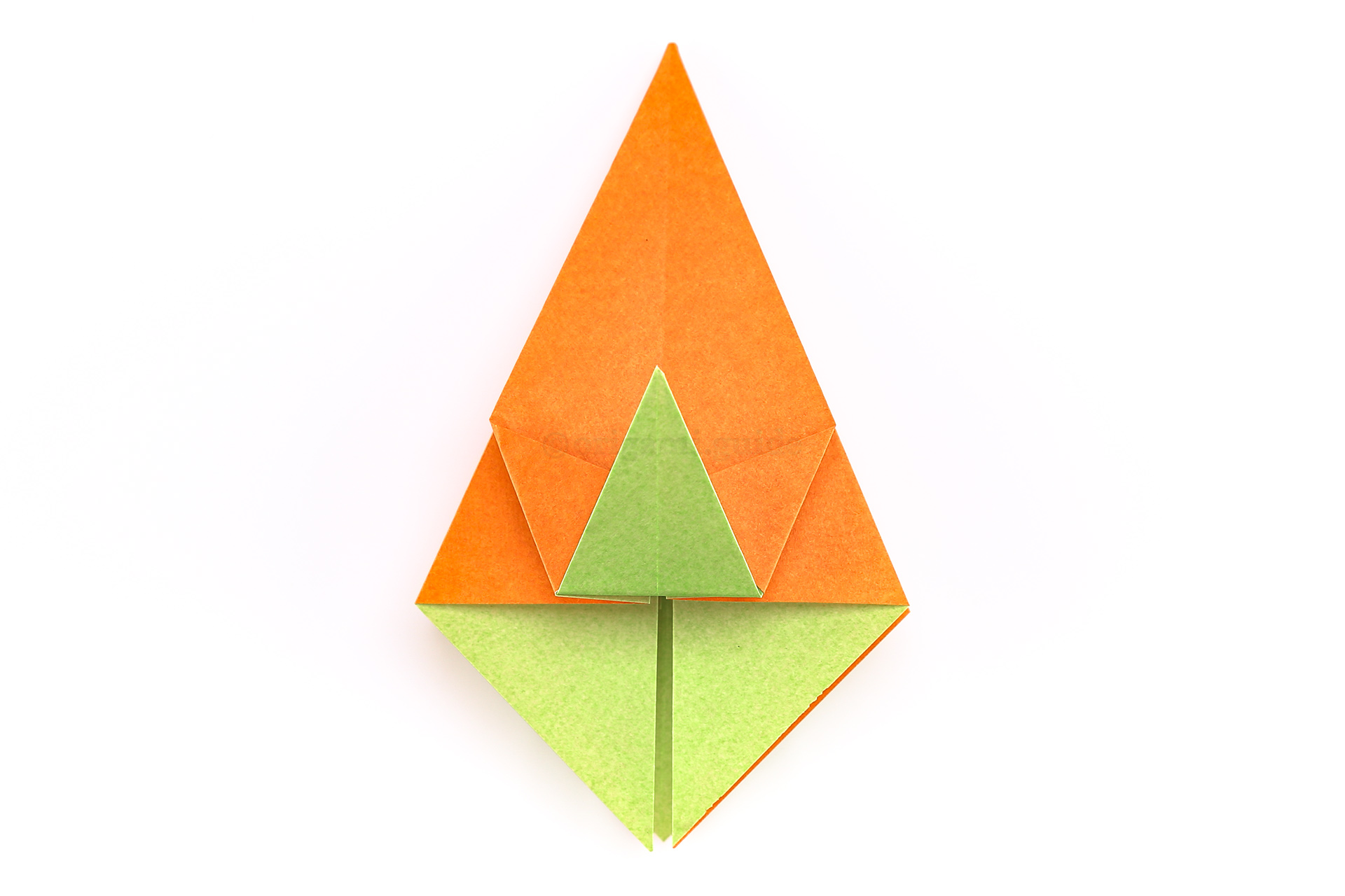 Step 25 - Next, fold the lower point up like this.