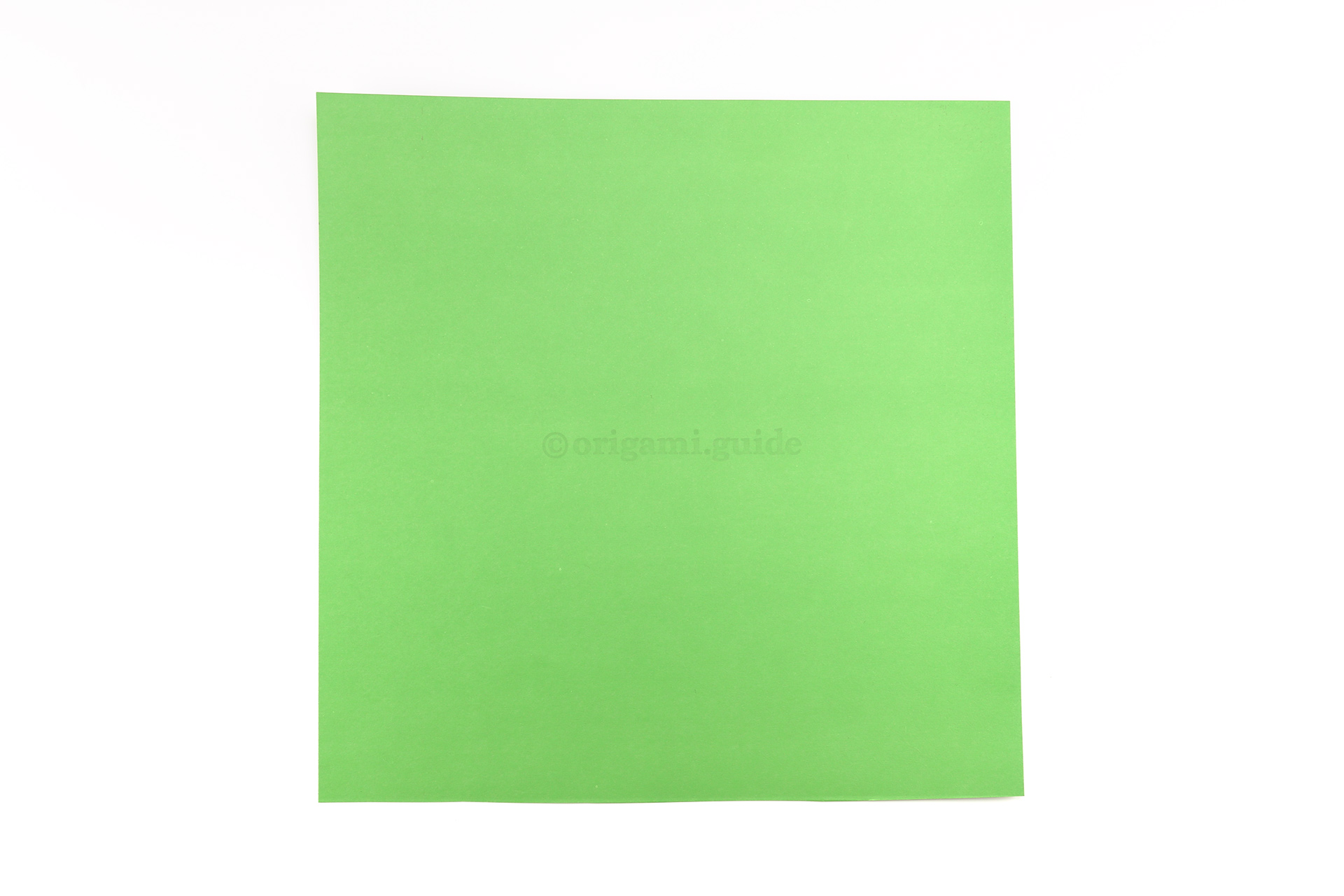 This is the back of our origami paper, we will not see this side on the finished spider.