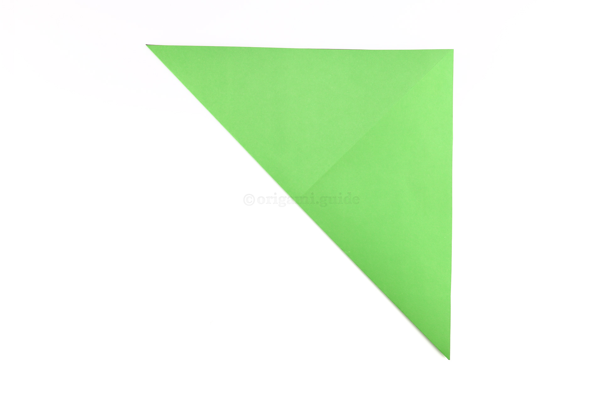 Next, fold the bottom left corner diagonally up to the top right corner.