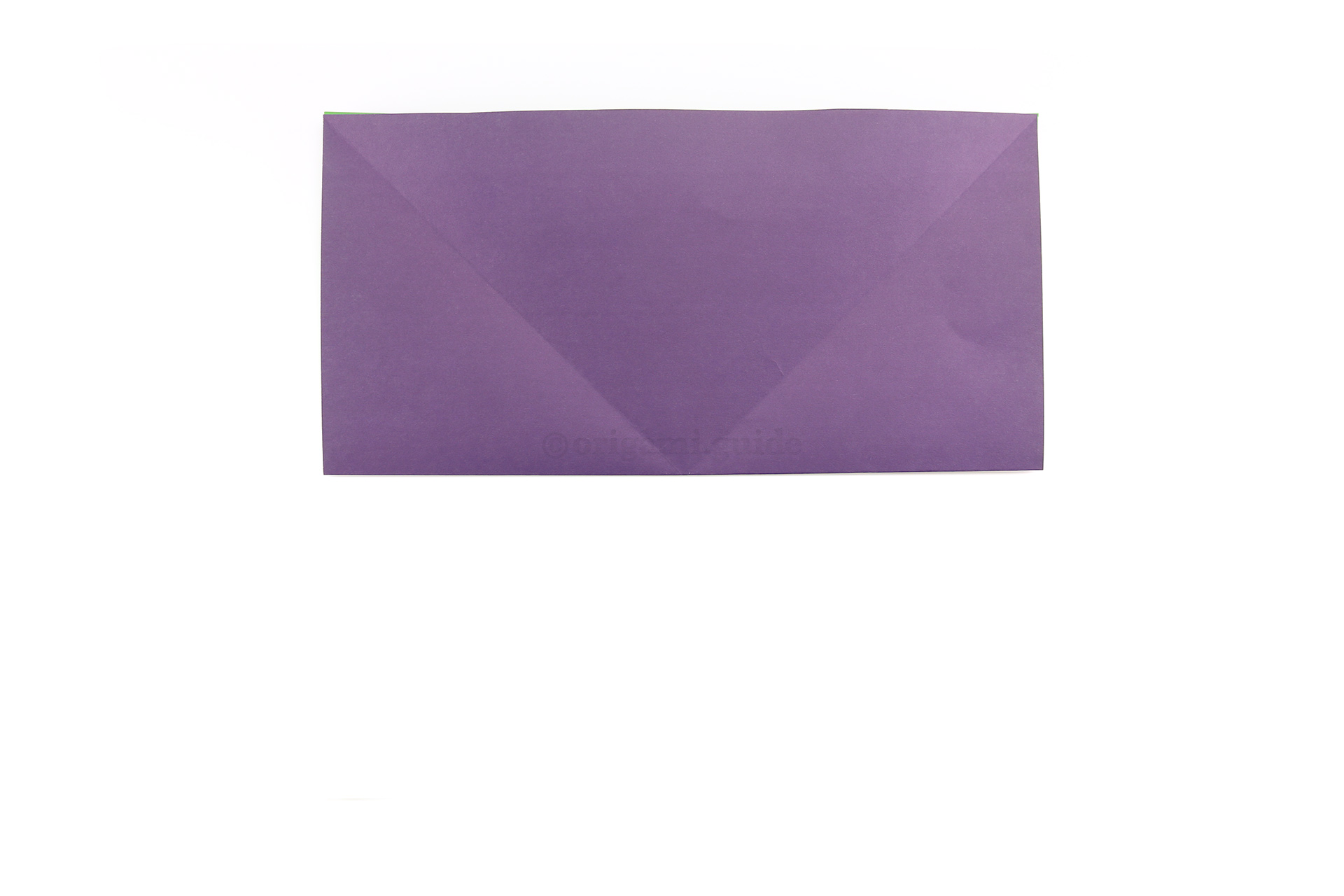 Fold the bottom edge up to the top edge.