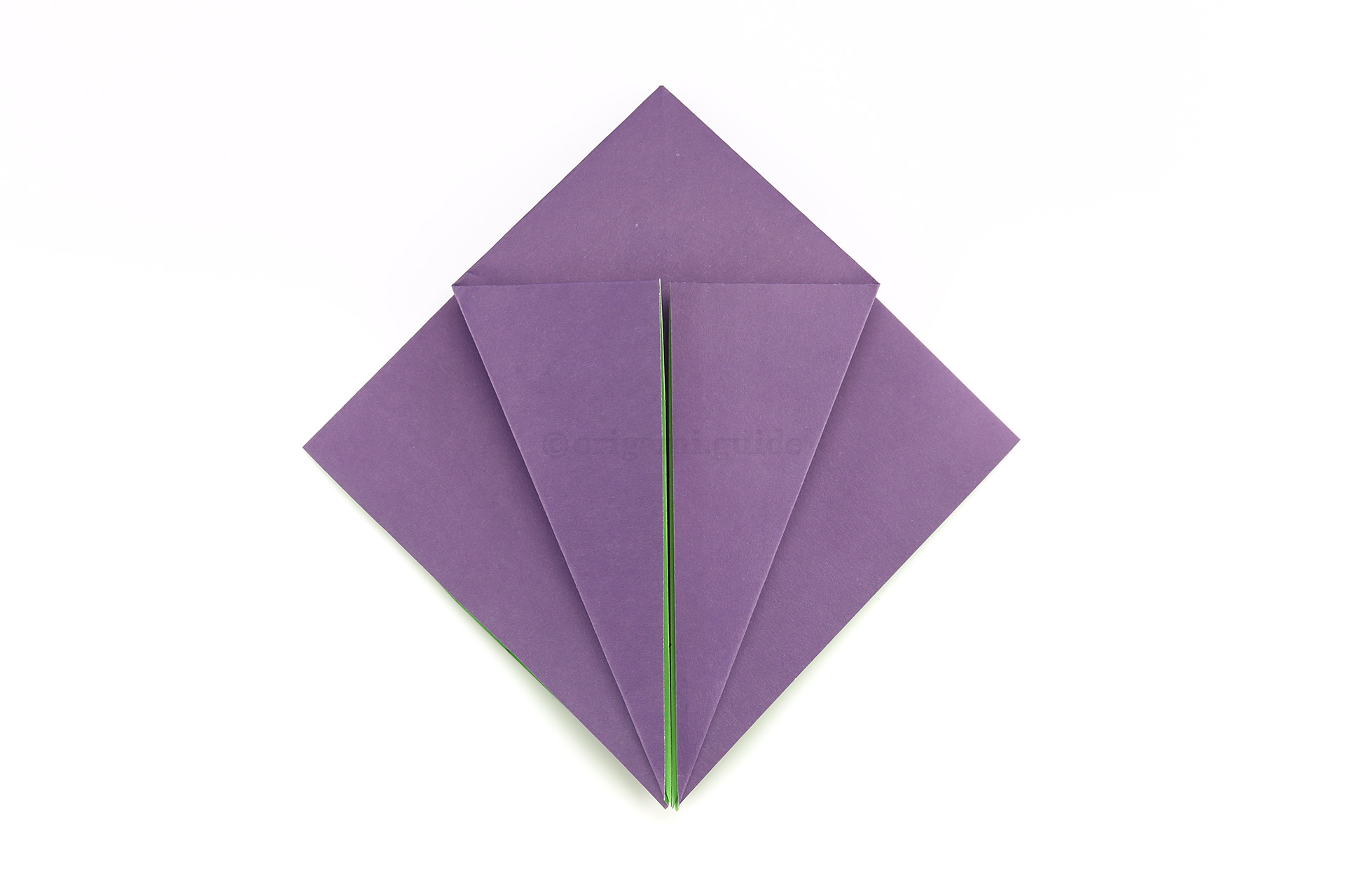 Fold the lower left diagonal edge to the central crease.
